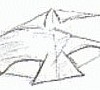 Kites