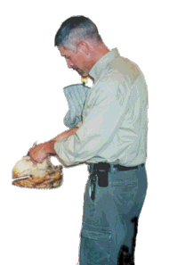 Carving the bird